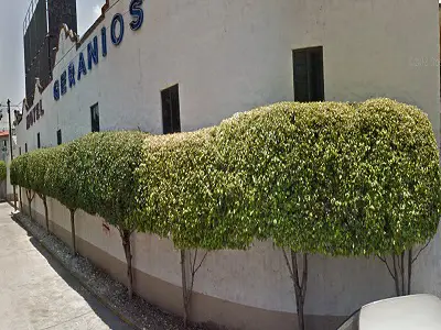 Motel Geranios Cuernavaca Morelos
